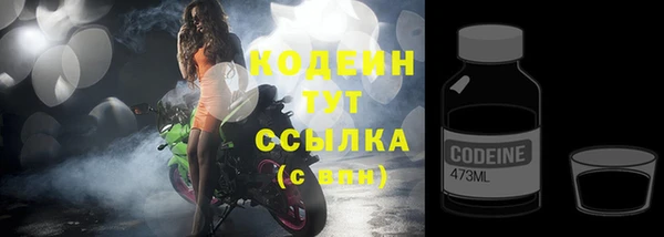 ГАЛЛЮЦИНОГЕННЫЕ ГРИБЫ Покров