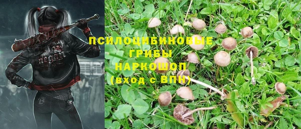a pvp Алексеевка
