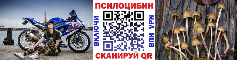 Псилоцибиновые грибы MAGIC MUSHROOMS  Поронайск 
